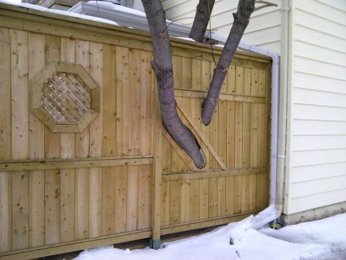 Daily Pictures. Part 1 (67 pics)