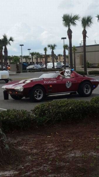 Daily Pictures. Part 1 (67 pics)