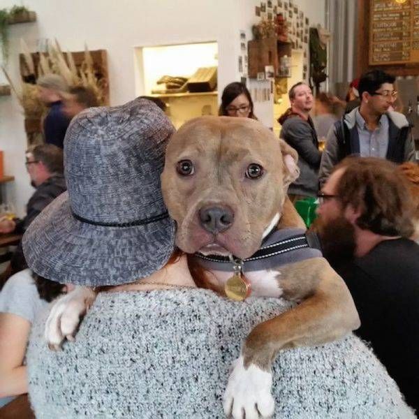 Daily Pictures. Part 1 (67 pics)