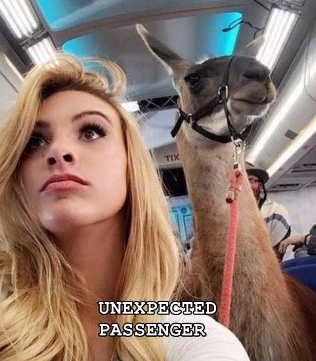 Daily Pictures. Part 1 (67 pics)