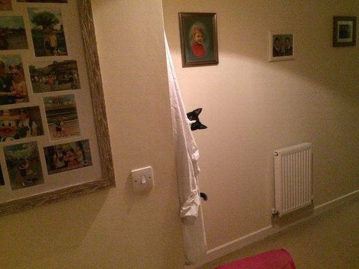 Daily Pictures. Part 1 (67 pics)