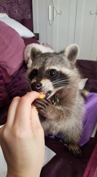 Daily Pictures. Part 1 (67 pics)