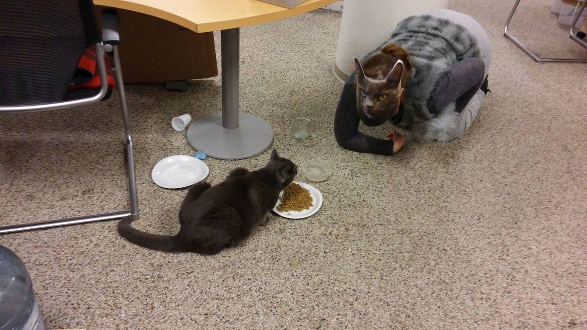 Daily Pictures. Part 1 (67 pics)