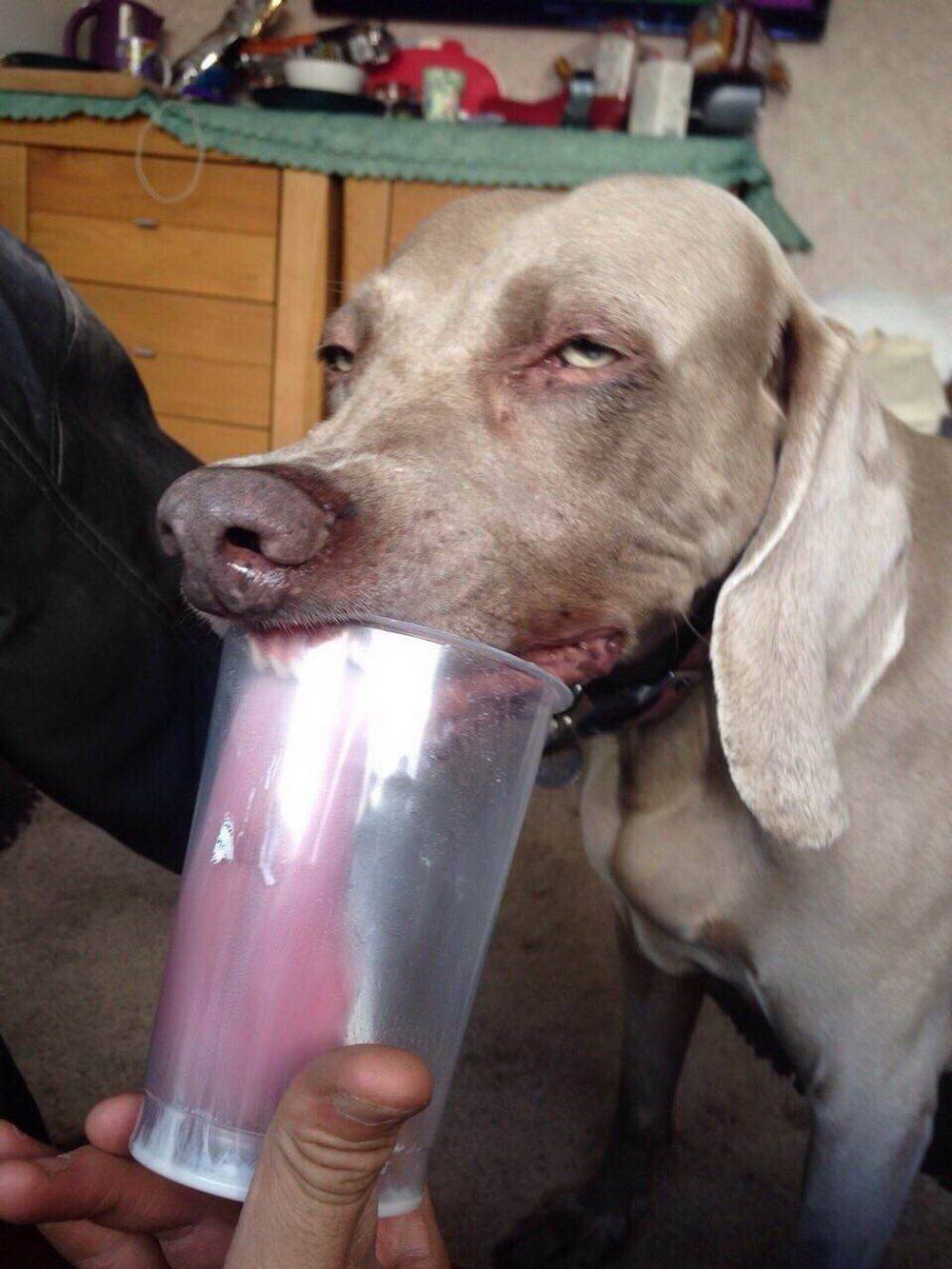 Daily Pictures. Part 2 (66 pics) Daily Pictures. Part 2 (66 pics)