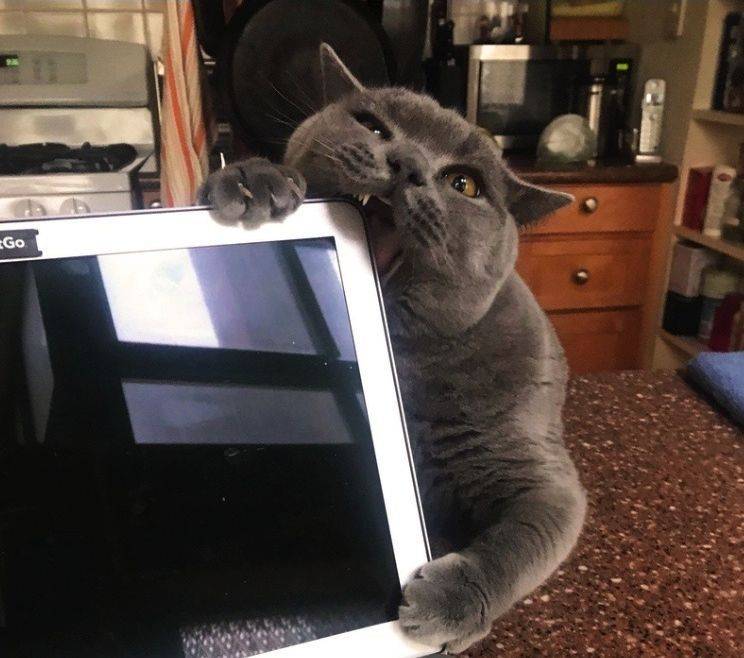 Daily Pictures. Part 1 (67 pics)