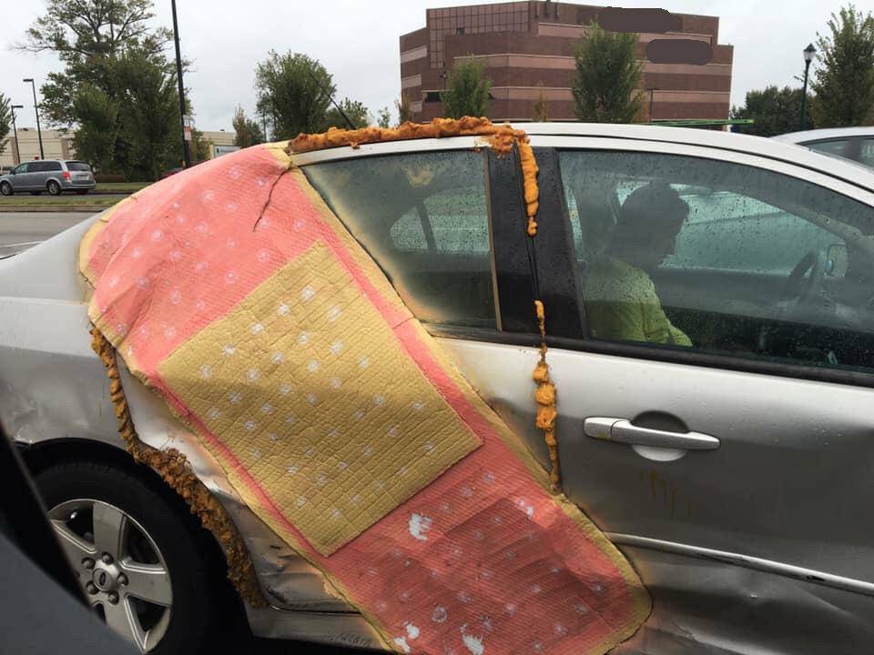 Daily Pictures. Part 1 (67 pics)