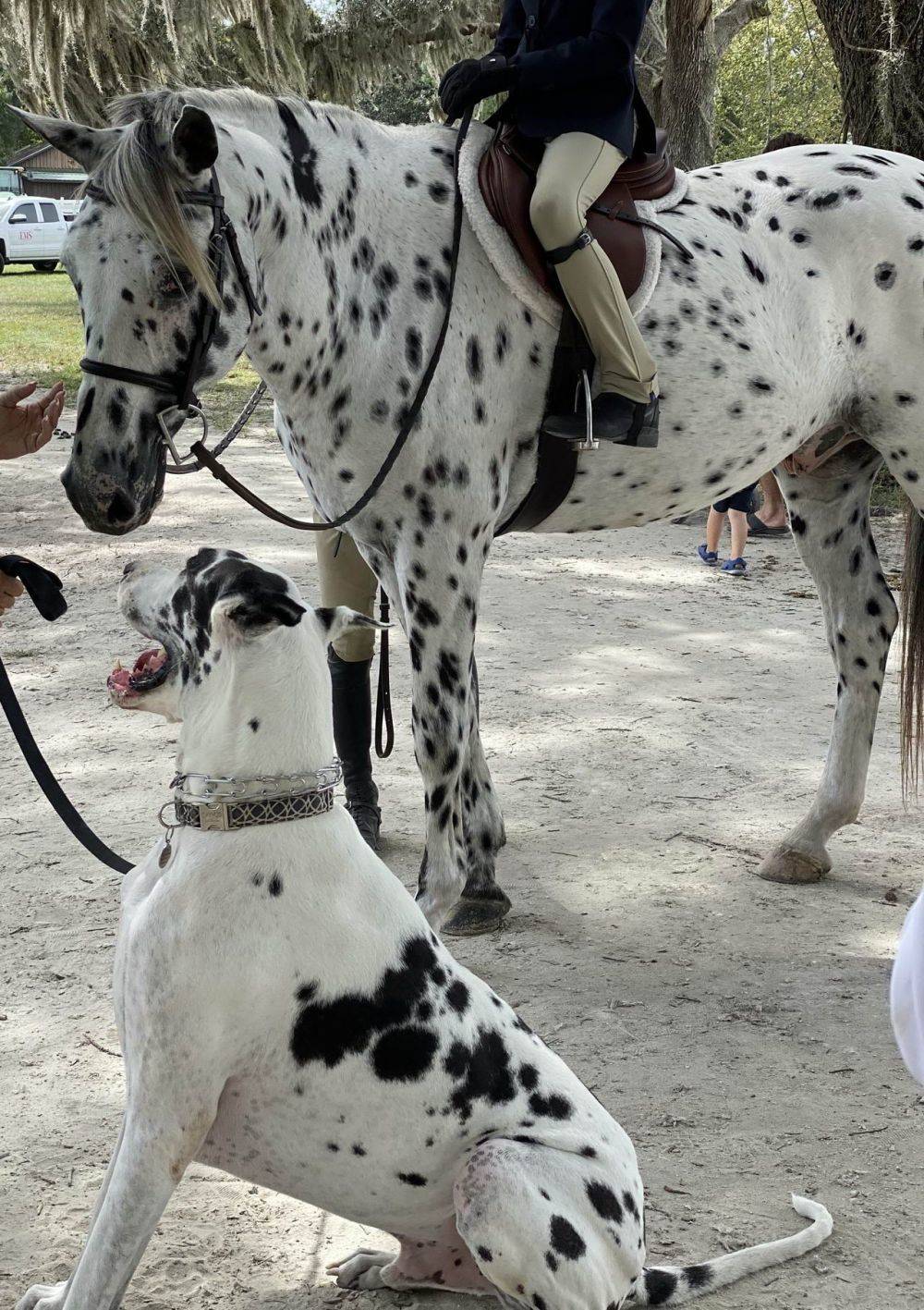 Daily Pictures. Part 2 (66 pics) Daily Pictures. Part 2 (66 pics)