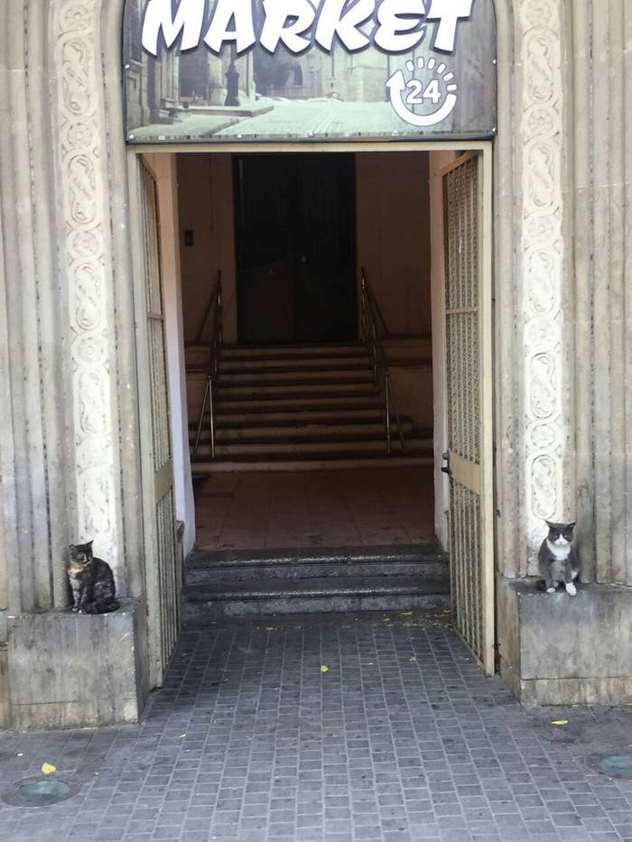 Daily Pictures. Part 1 (67 pics)