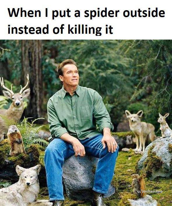 Daily Pictures. Part 2 (66 pics) Daily Pictures. Part 2 (66 pics)