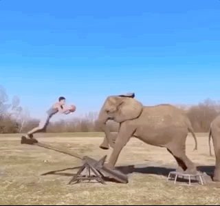 Acid GIFs, January 19 (25 gifs)