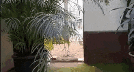 Acid GIFs, January 19 (25 gifs)