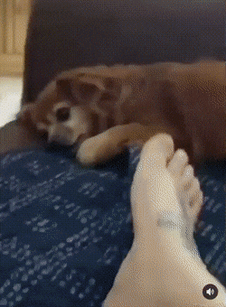 Acid GIFs, January 19 (25 gifs)