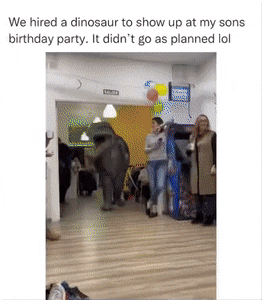 Acid GIFs, January 19 (25 gifs)