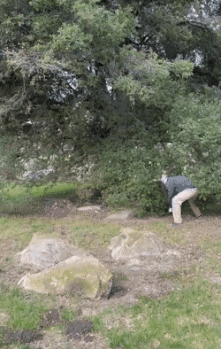 Acid GIFs, January 19 (25 gifs)