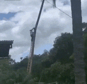 Acid GIFs, January 19 (25 gifs)