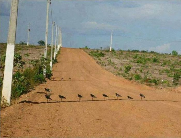 Daily Pictures. Part 1 (68 pics) Daily Pictures. Part 1 (68 pics)