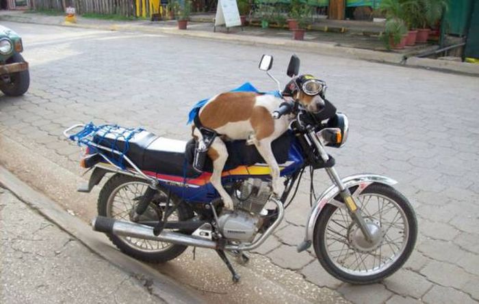 Daily Pictures. Part 1 (68 pics) Daily Pictures. Part 1 (68 pics)