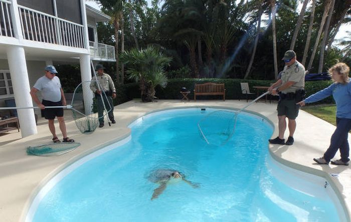 Daily Pictures. Part 1 (68 pics) Daily Pictures. Part 1 (68 pics)