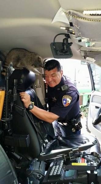 Daily Pictures. Part 1 (68 pics) Daily Pictures. Part 1 (68 pics)