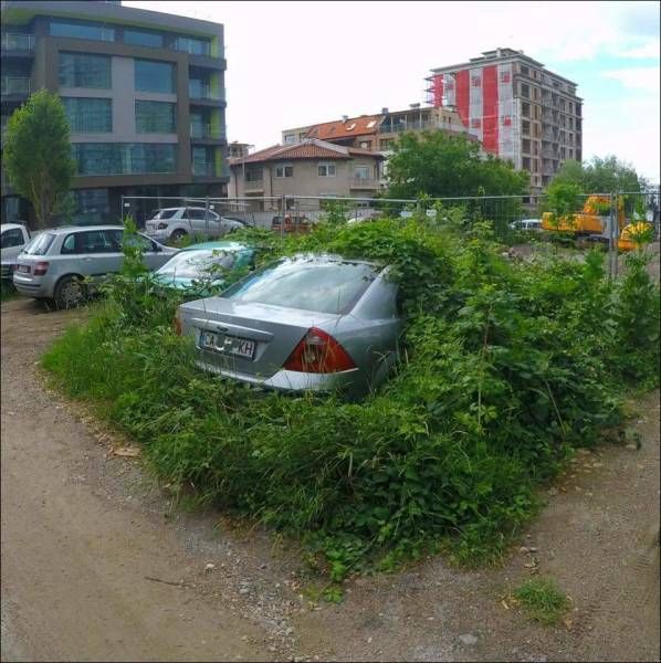 Daily Pictures. Part 1 (68 pics) Daily Pictures. Part 1 (68 pics)