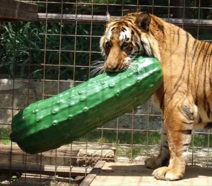 Daily Pictures. Part 1 (68 pics) Daily Pictures. Part 1 (68 pics)