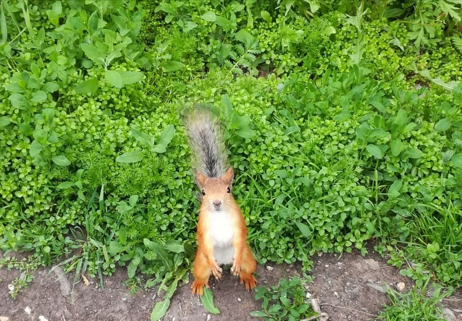 Daily Pictures. Part 1 (68 pics) Daily Pictures. Part 1 (68 pics)