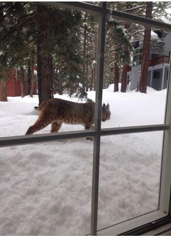 Daily Pictures. Part 1 (68 pics) Daily Pictures. Part 1 (68 pics)