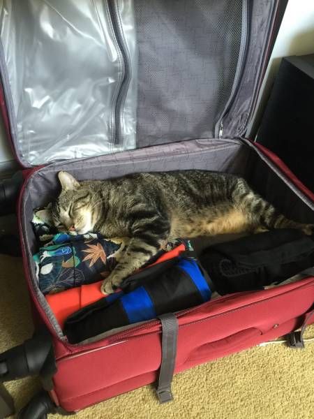 Daily Pictures. Part 2 (67 pics)