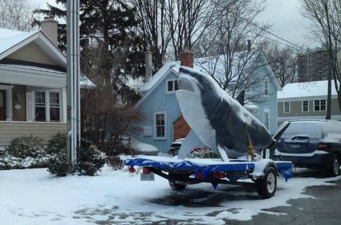 Daily Pictures. Part 1 (68 pics) Daily Pictures. Part 1 (68 pics)