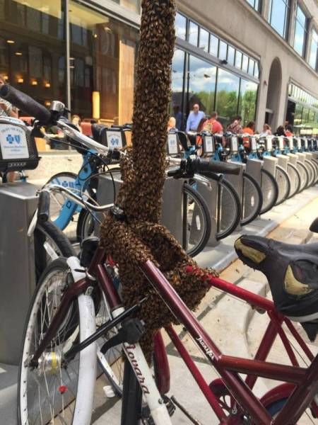 Daily Pictures. Part 2 (67 pics)