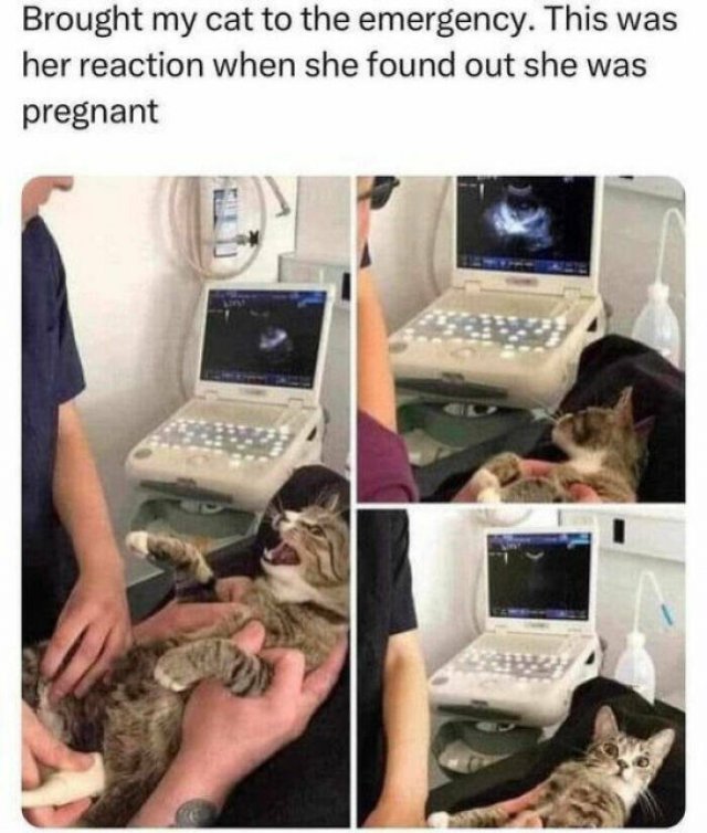 Daily Pictures. Part 2 (67 pics)