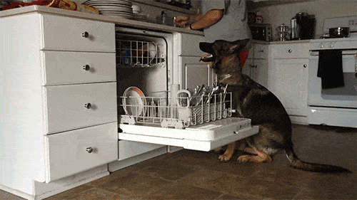 Acid GIFs, January 20 (25 gifs)