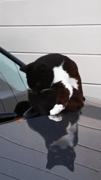 Acid GIFs, January 20 (25 gifs)