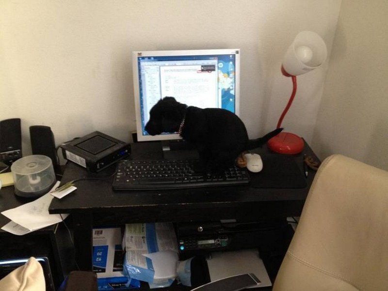 Bad Days Happen (25 pics)