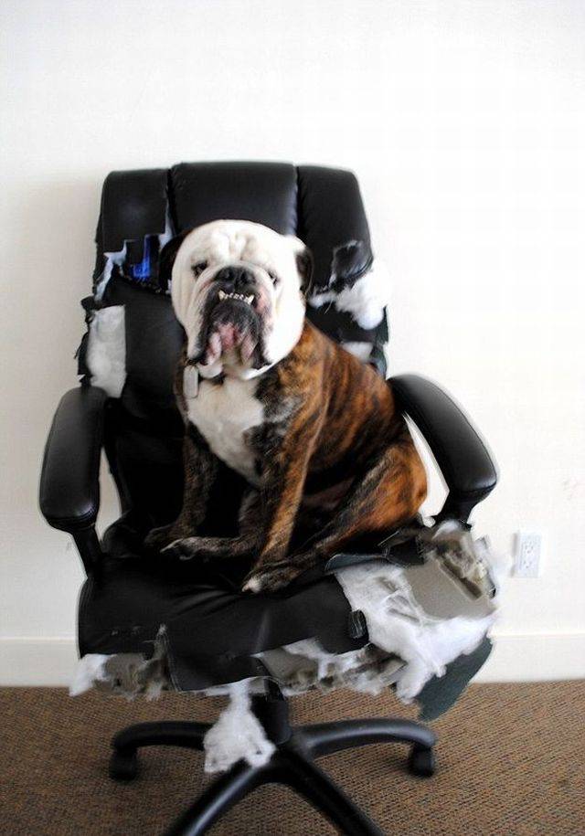 Bad Days Happen (25 pics)