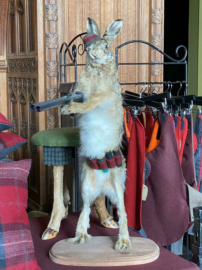 Odd Designs (22 pics)