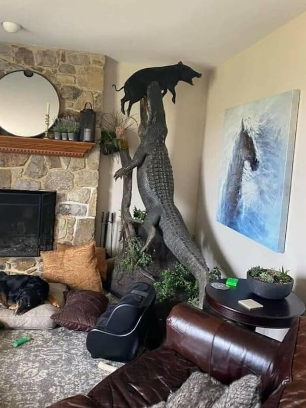 Odd Designs (22 pics)