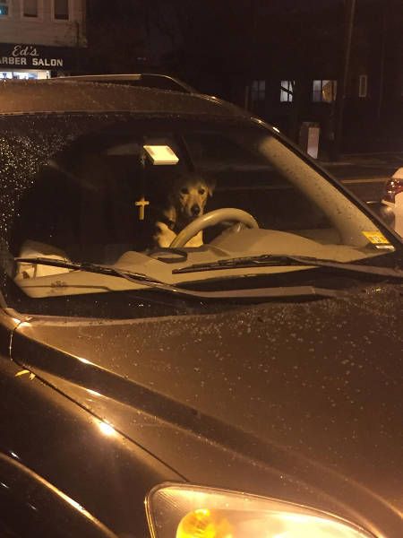 Daily Pictures. Part 1 (67 pics)