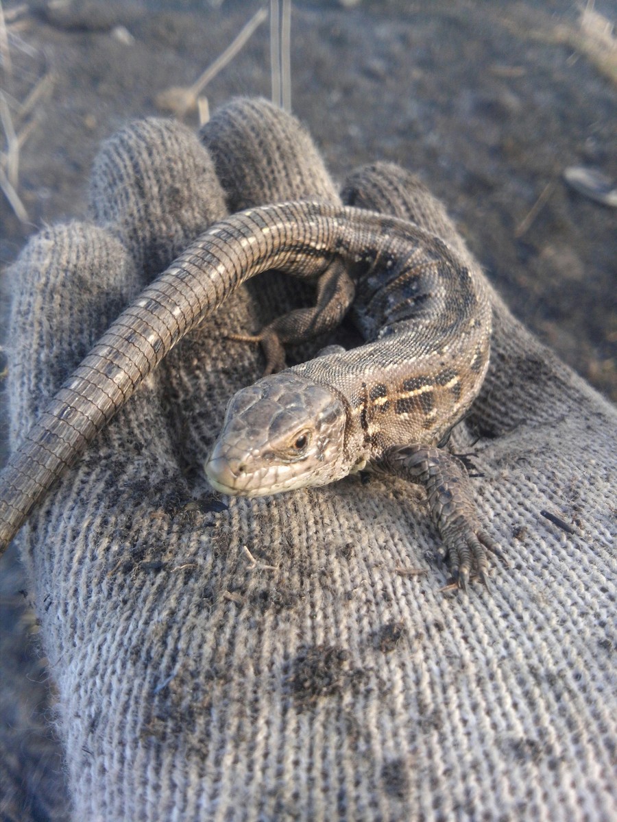 Daily Pictures. Part 1 (67 pics)