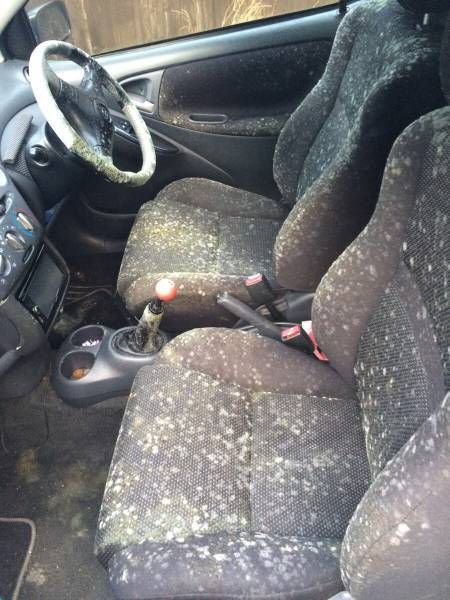 Daily Pictures. Part 1 (67 pics)