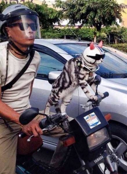 Daily Pictures. Part 1 (67 pics)