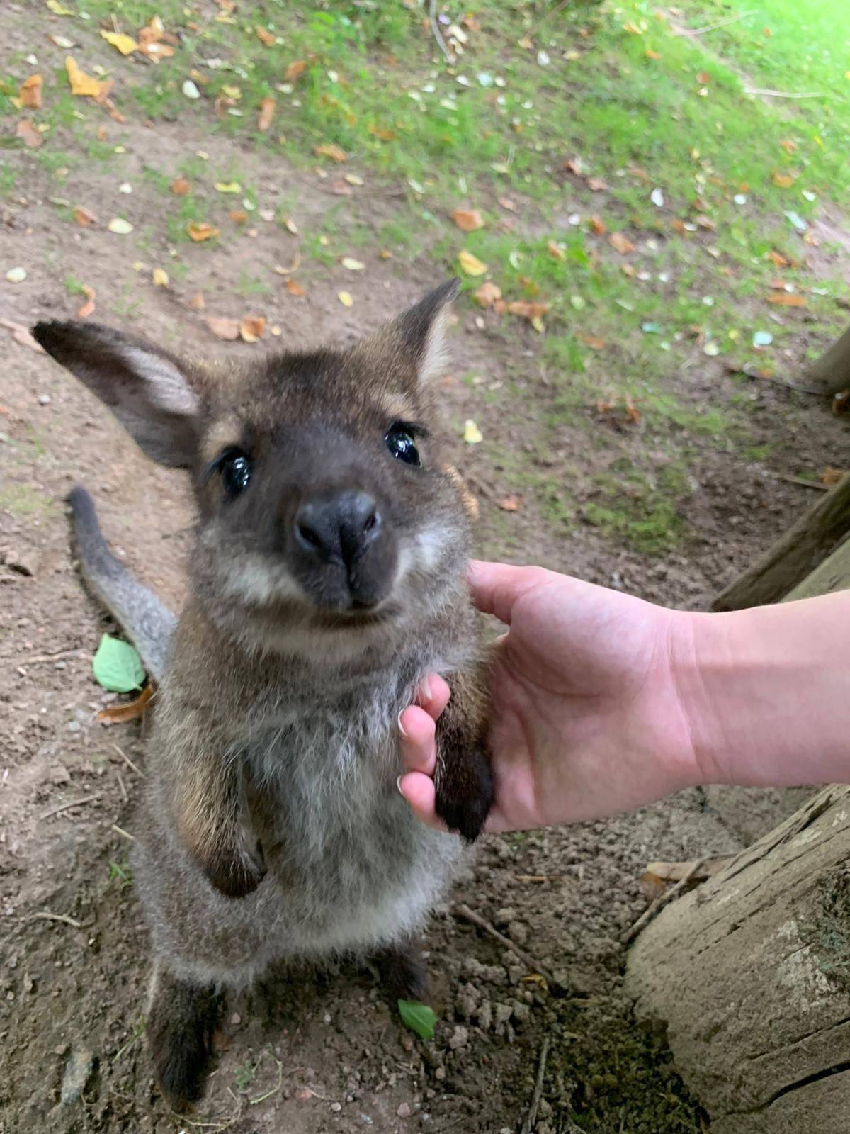 Daily Pictures. Part 1 (67 pics)