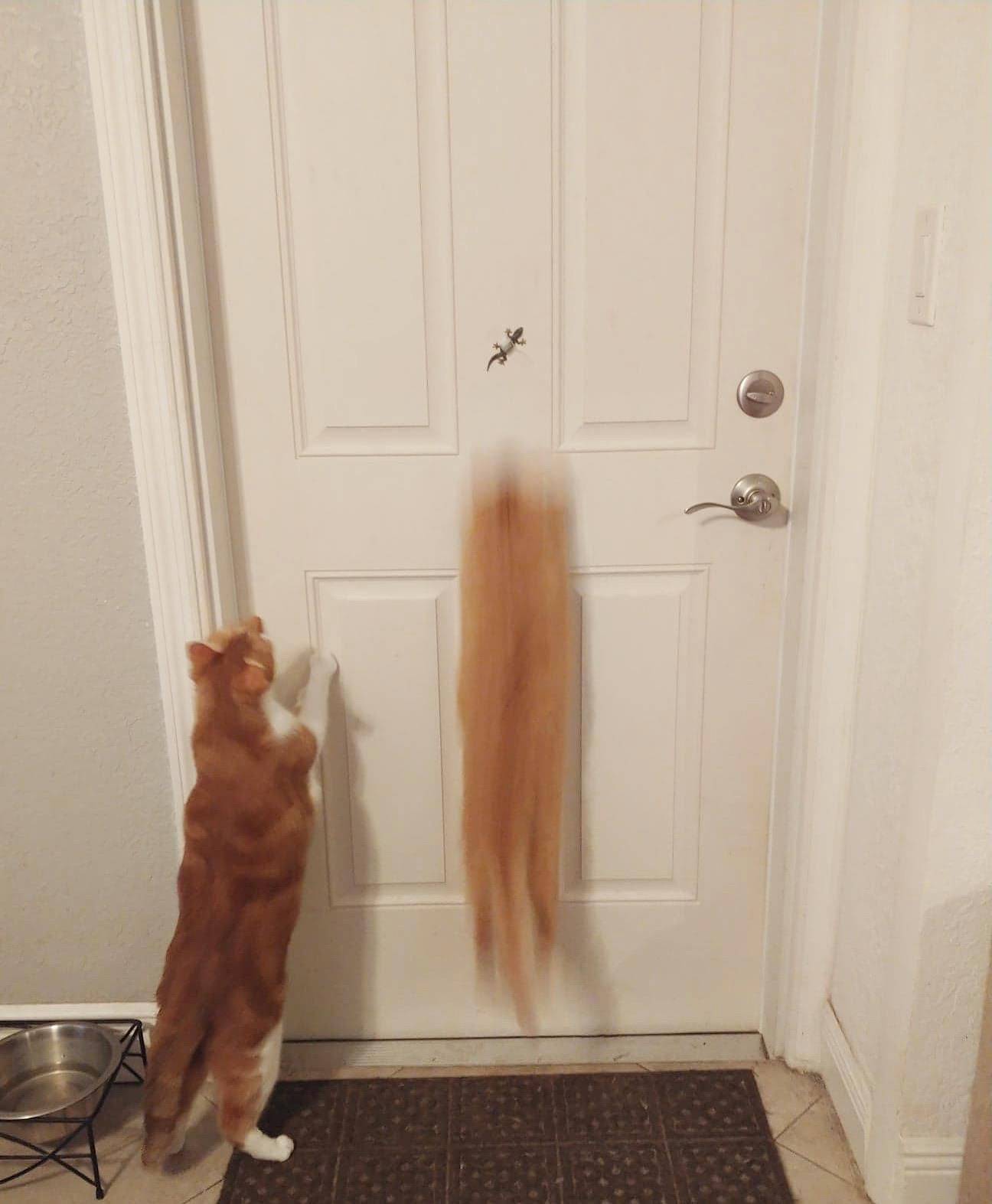 Daily Pictures. Part 1 (67 pics)