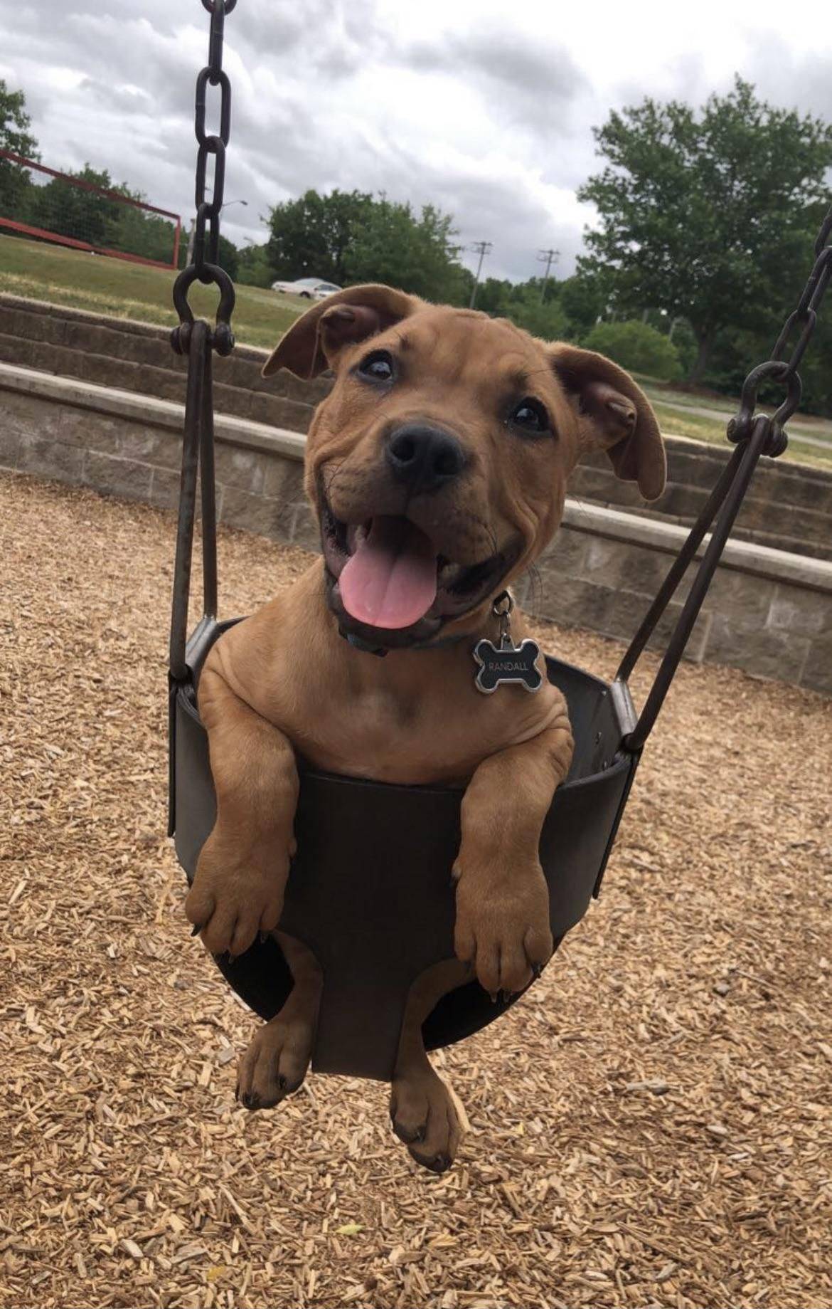 Daily Pictures. Part 1 (67 pics)