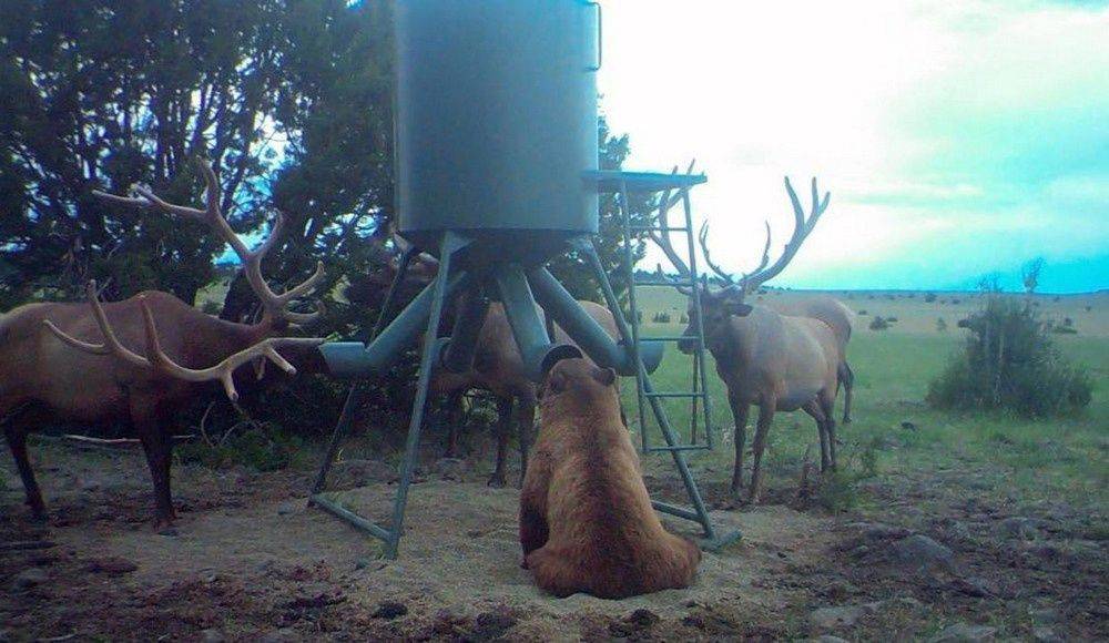 Daily Pictures. Part 1 (67 pics)