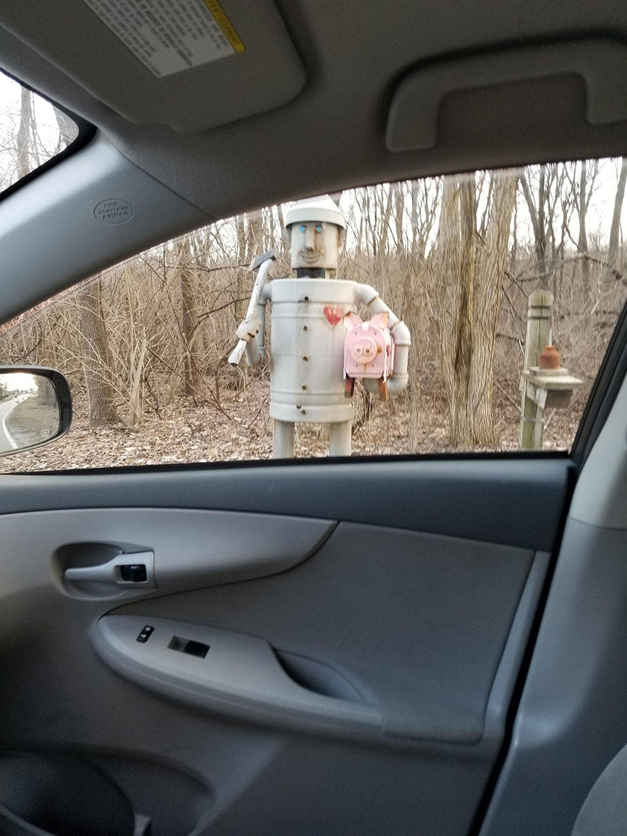 Daily Pictures. Part 1 (67 pics)