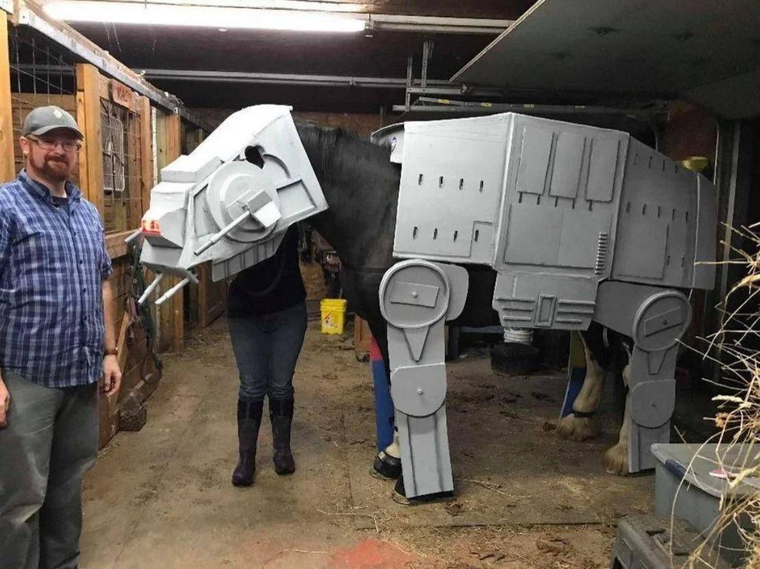 Daily Pictures. Part 1 (67 pics)