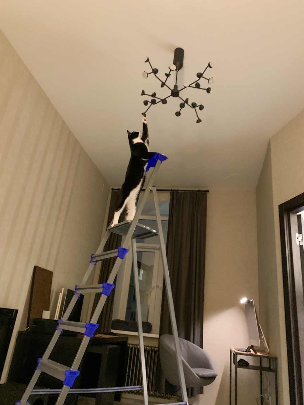 Daily Pictures. Part 2 (66 pics)