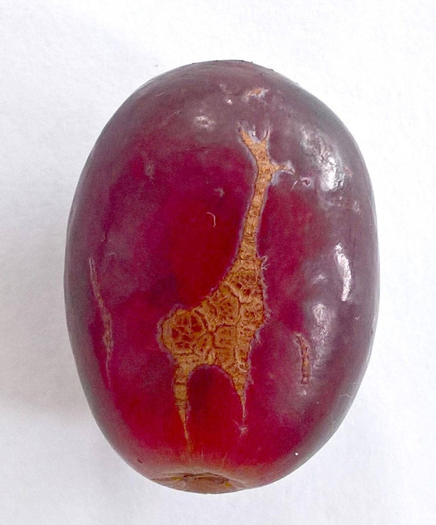 Daily Pictures. Part 1 (67 pics)