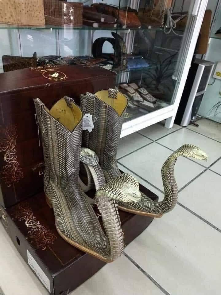 Daily Pictures. Part 2 (66 pics)